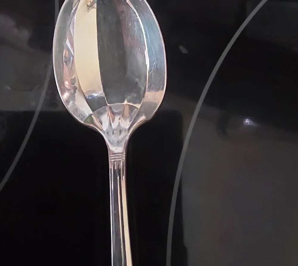 Silver plated Serving Spoon - Silver